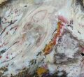 Colorful, Hubbard Basin Petrified Wood Slab #96058-1